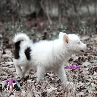 processed/52a17f26-85d1-419c-b7aa-d5b4c1feff0d/listing/bae13cf2-55e6-4f02-8500-d97d3f7e2c25/59e280a8-93dd-4241-9369-e3661698d4d9