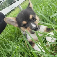 processed/52a315e3-8b27-4c69-9874-954e8a7d8610/facility/21f0b684-eecc-478d-9660-9fabb9aa0dd5