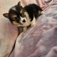 processed/52a315e3-8b27-4c69-9874-954e8a7d8610/facility/2c8eecb1-bf83-47cf-938d-f57bbe1f470f