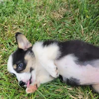 processed/52a315e3-8b27-4c69-9874-954e8a7d8610/facility/5a833535-17bc-4e3e-a893-dc8a7a685488