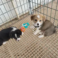 processed/52a315e3-8b27-4c69-9874-954e8a7d8610/facility/60a25aba-693c-45fb-b45b-0ceb57141e2f