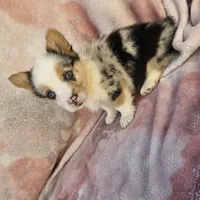 processed/52a315e3-8b27-4c69-9874-954e8a7d8610/facility/710ff07d-1f56-4f39-a083-1f8b3b667bbc