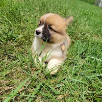 processed/52a315e3-8b27-4c69-9874-954e8a7d8610/facility/a10d398a-71b0-447a-a6b8-fc0b1d20de9a