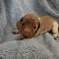 processed/52a315e3-8b27-4c69-9874-954e8a7d8610/facility/a5c8f602-ab74-44e6-bd70-73f7a8032cb1