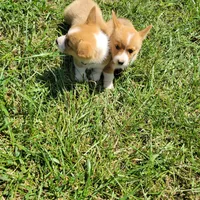 processed/52a315e3-8b27-4c69-9874-954e8a7d8610/facility/cd492799-81e3-4b2e-9212-5b4770aedc45