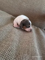 processed/52a315e3-8b27-4c69-9874-954e8a7d8610/listing/8c87564c-fa5c-4874-aef6-4905c3459040/22198c88-579c-445b-99b9-a06f1e0fe7e4