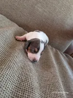 processed/52a315e3-8b27-4c69-9874-954e8a7d8610/listing/8c87564c-fa5c-4874-aef6-4905c3459040/302aba69-a847-46f9-8c57-e732f6ffd589