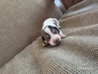 processed/52a315e3-8b27-4c69-9874-954e8a7d8610/listing/8c87564c-fa5c-4874-aef6-4905c3459040/d92ca5f8-d225-48a8-8542-33bbe4264204