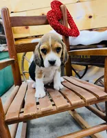 processed/52a8b778-1f53-4f11-9cf5-d5e9da32d917/listing/07f3773f-07ca-46a1-a75b-bae66e94669f/c0655906-6e98-4685-8d75-53aa2fee0d0e