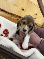 processed/52a8b778-1f53-4f11-9cf5-d5e9da32d917/listing/2f098e3f-f437-434d-989a-7b40ab1810fd/6b4e7b57-55d1-43b6-bd33-2a8319892cef