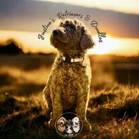 processed/52c5a0c6-f902-40e7-b962-10f800229bf5/facility/0a40ceb0-1f49-48e7-922b-0de8a9aef72b