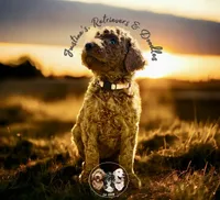 processed/52c5a0c6-f902-40e7-b962-10f800229bf5/facility/0a40ceb0-1f49-48e7-922b-0de8a9aef72b