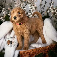 processed/52c5a0c6-f902-40e7-b962-10f800229bf5/facility/36f2fccd-4430-4d01-a1d9-a72bf3da99dd