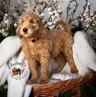 processed/52c5a0c6-f902-40e7-b962-10f800229bf5/facility/36f2fccd-4430-4d01-a1d9-a72bf3da99dd