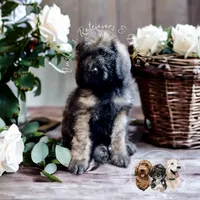 processed/52c5a0c6-f902-40e7-b962-10f800229bf5/facility/392dd27c-5b82-4f87-b244-aa72043f84db