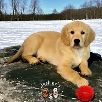 processed/52c5a0c6-f902-40e7-b962-10f800229bf5/facility/a548f164-ef96-43fd-bf19-12c78730bca1