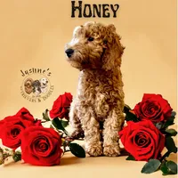 processed/52c5a0c6-f902-40e7-b962-10f800229bf5/facility/cac9ce9a-0ebf-457c-aaa2-e78671ada1f6