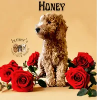 processed/52c5a0c6-f902-40e7-b962-10f800229bf5/facility/cac9ce9a-0ebf-457c-aaa2-e78671ada1f6