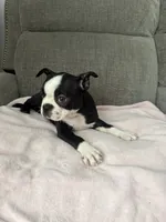 processed/52ca4e10-66dd-45d9-a804-a39f08bf5684/facility/e1fdea2b-131a-4a2f-9231-f64f544fd79f