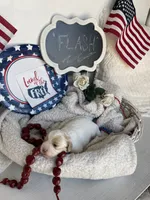 FLASH, a male Cavachon for sale in Tucson, AZ – 5 of 10