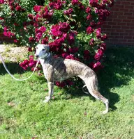 processed/52ddc6e8-84e7-49b7-800c-4d0035b5d16f/listing/27d683a2-a01c-4a1c-9d99-ff653a204df4/edce6096-62a6-4153-aa36-59d1148b2a8d