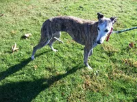 processed/52ddc6e8-84e7-49b7-800c-4d0035b5d16f/listing/3b333226-9de3-4023-84c0-f2b8ec1d6f7d/3ecb8c6b-f93f-445c-bc20-6cd9e0b15ce2