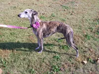 processed/52ddc6e8-84e7-49b7-800c-4d0035b5d16f/listing/3b333226-9de3-4023-84c0-f2b8ec1d6f7d/5b51b643-4506-47c9-873f-9ed2c3ecf93c