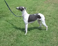 processed/52ddc6e8-84e7-49b7-800c-4d0035b5d16f/listing/b7f376d5-b2b3-4611-803f-cb017c6ad08a/09a02a0d-2174-4124-b8be-d49d1bcc58c4