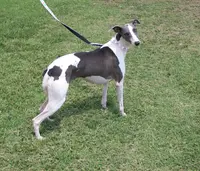 processed/52ddc6e8-84e7-49b7-800c-4d0035b5d16f/listing/b7f376d5-b2b3-4611-803f-cb017c6ad08a/2bc491a2-5475-4f7f-81f7-7eac7473cd65