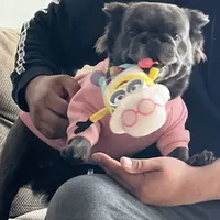 processed/52e47f6b-f63c-4304-a5a7-8b1a3f83f300/facility/077c24c0-54cd-49d2-bbe7-a299853083c7