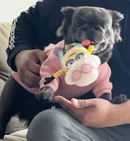 processed/52e47f6b-f63c-4304-a5a7-8b1a3f83f300/facility/077c24c0-54cd-49d2-bbe7-a299853083c7