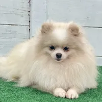 processed/52e47f6b-f63c-4304-a5a7-8b1a3f83f300/facility/33e73ef2-fe71-4f12-8d3c-604631d743e2