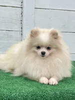 processed/52e47f6b-f63c-4304-a5a7-8b1a3f83f300/facility/33e73ef2-fe71-4f12-8d3c-604631d743e2