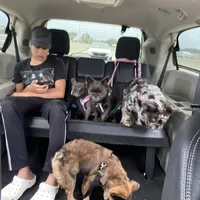 processed/52e47f6b-f63c-4304-a5a7-8b1a3f83f300/facility/5a0ca61d-2add-46a8-9162-969a8a79cb42