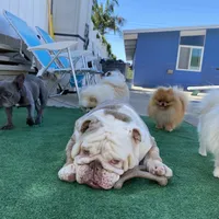 processed/52e47f6b-f63c-4304-a5a7-8b1a3f83f300/facility/6799d4ce-c876-459c-90cb-2d1dbfb50ab6