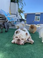 processed/52e47f6b-f63c-4304-a5a7-8b1a3f83f300/facility/6799d4ce-c876-459c-90cb-2d1dbfb50ab6