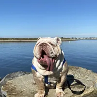 processed/52e47f6b-f63c-4304-a5a7-8b1a3f83f300/facility/84ab3c2c-95c1-4b9f-8aba-d701c9882d64