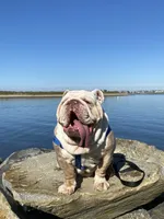 processed/52e47f6b-f63c-4304-a5a7-8b1a3f83f300/facility/84ab3c2c-95c1-4b9f-8aba-d701c9882d64