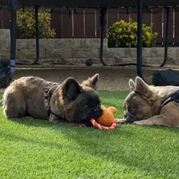 processed/52e47f6b-f63c-4304-a5a7-8b1a3f83f300/facility/9e0a1543-3406-462d-a49c-15aa7c540bc0