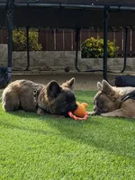 processed/52e47f6b-f63c-4304-a5a7-8b1a3f83f300/facility/9e0a1543-3406-462d-a49c-15aa7c540bc0