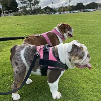 processed/52e47f6b-f63c-4304-a5a7-8b1a3f83f300/facility/a212e7e5-8345-4dc3-b88c-1475a04c68d8