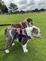 processed/52e47f6b-f63c-4304-a5a7-8b1a3f83f300/facility/a212e7e5-8345-4dc3-b88c-1475a04c68d8