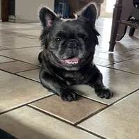 processed/52e47f6b-f63c-4304-a5a7-8b1a3f83f300/facility/ae791a61-f3d6-4fd3-b405-8b92ff5f87ef