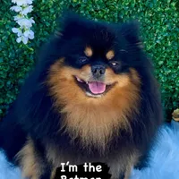 processed/52e47f6b-f63c-4304-a5a7-8b1a3f83f300/facility/d8c01127-d62f-47e0-8463-a5b1ca9a4bde