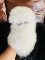 Melissa, a female Pomeranian for sale in San Diego, CA – Photo 6 of 9