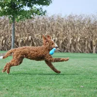 processed/52e83544-172d-4f94-ab9c-506a3bea59e4/facility/4d944267-b952-4e09-840d-a6c214ef8d6d