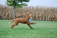 processed/52e83544-172d-4f94-ab9c-506a3bea59e4/facility/4d944267-b952-4e09-840d-a6c214ef8d6d