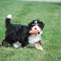 processed/52e83544-172d-4f94-ab9c-506a3bea59e4/facility/5c902901-ee98-4700-a965-a1886489bfc0