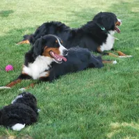 processed/52e83544-172d-4f94-ab9c-506a3bea59e4/facility/855f4650-e513-4ef0-9ae1-861a25c48a25