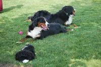 processed/52e83544-172d-4f94-ab9c-506a3bea59e4/facility/855f4650-e513-4ef0-9ae1-861a25c48a25